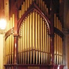 organ